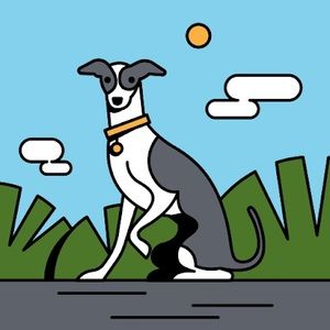 Meet your Posher, Shanta